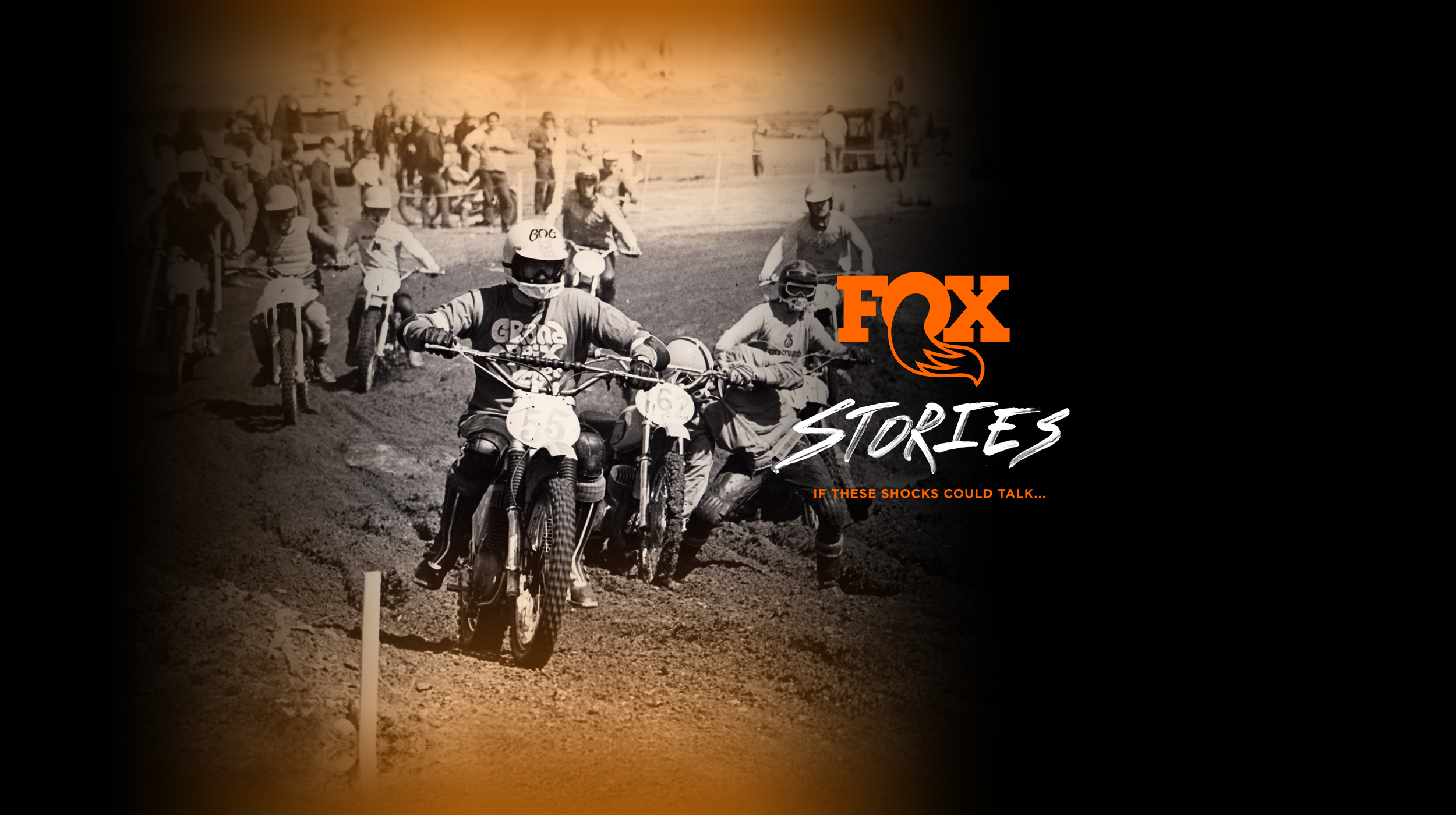 FOX Stories